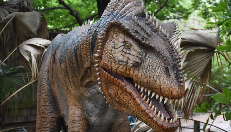 Déguisement dinosaure gonflable : le must-have de la saison !